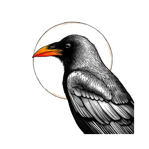 Welcome to the Uncanny Cornwall&nbsp;Blog!