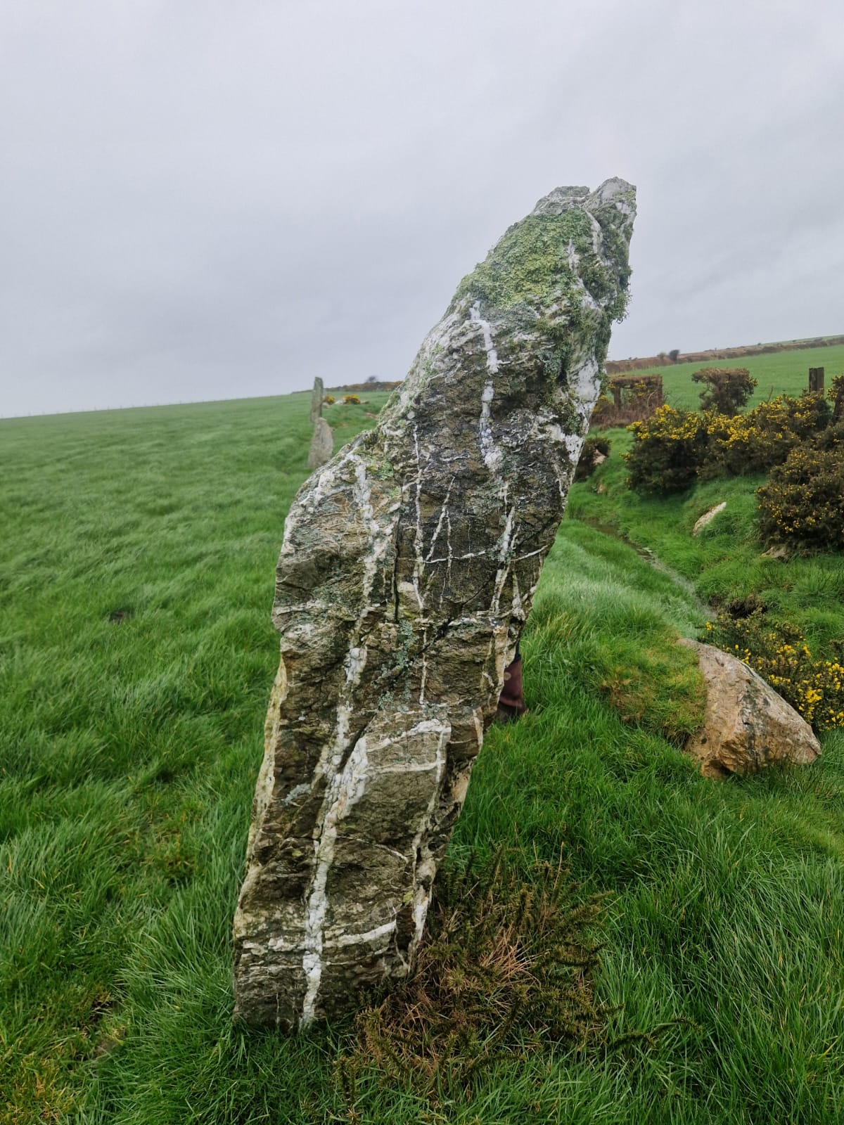 Exploring the Mystery of the Nine Maidens Stone Row